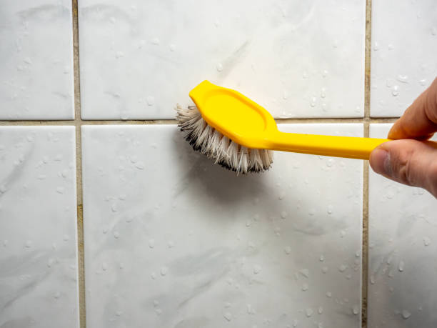 Best Same-Day Mold Removal  in Airmont, NY