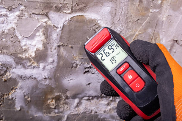 Best Professional Mold Removal  in Airmont, NY