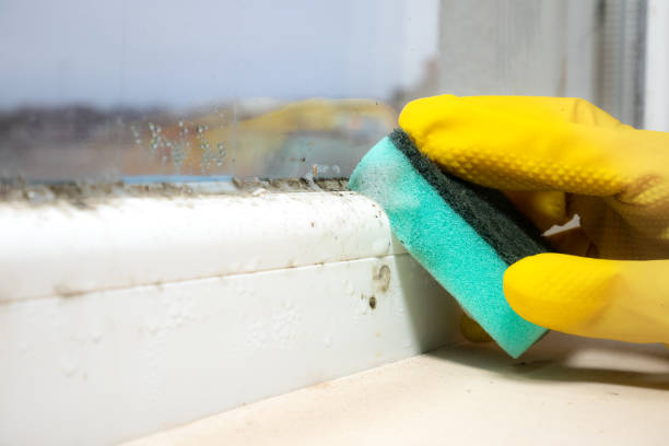 Best Mold Cleaning Services  in Airmont, NY